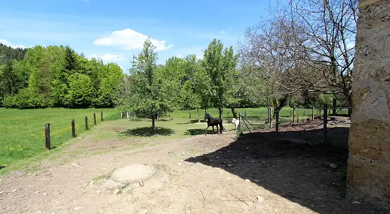 Apartment in Tschrestal