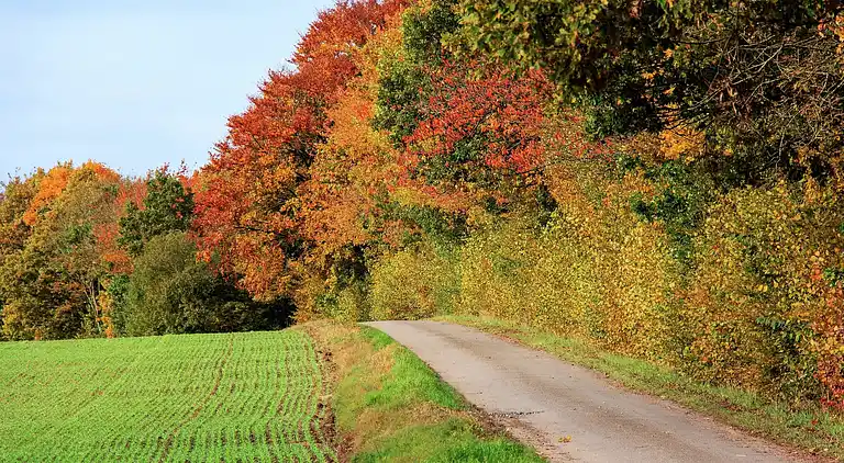 Ferielejlighed i Felenne