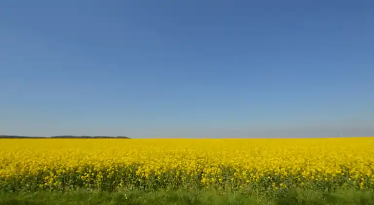 Holiday home in Mastershausen