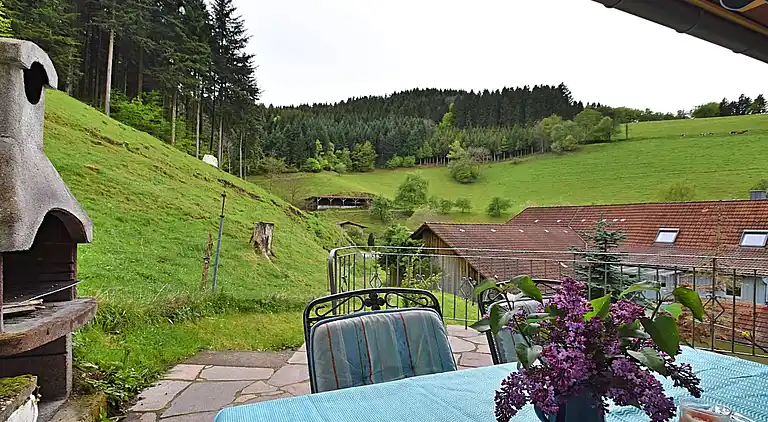 Sommerhus i Mühlenbach