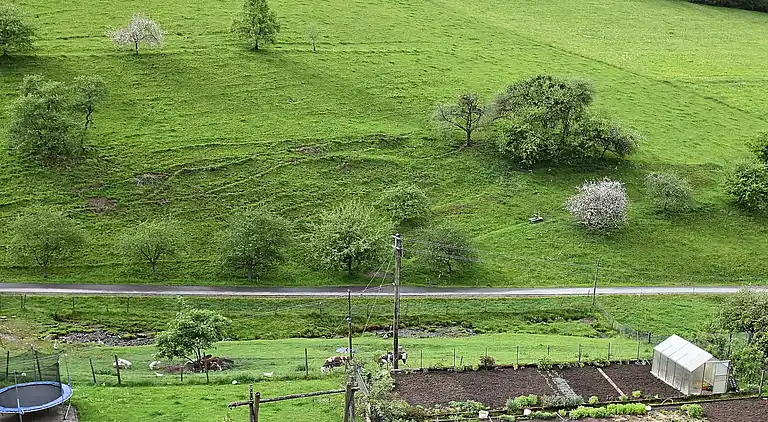 Sommerhus i Mühlenbach