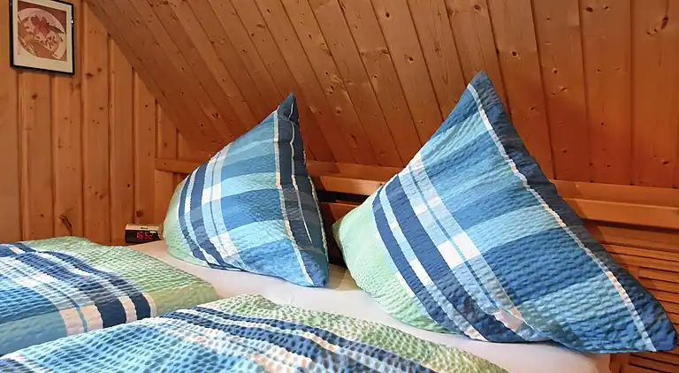 Vakantiehuis in Brigach