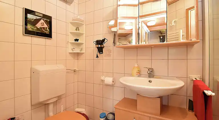 Vakantiehuis in Brigach