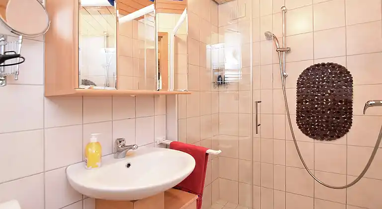 Vakantiehuis in Brigach