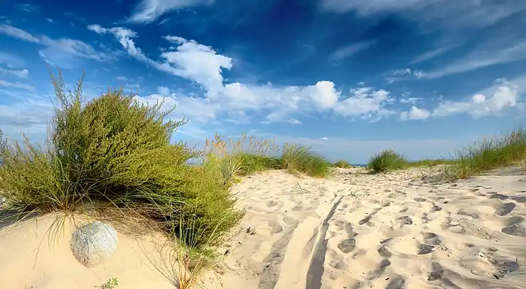 Villa in Bonmont Terres Noves