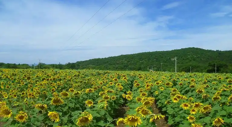 Gårdhus i Rochefort-en-Valdaine