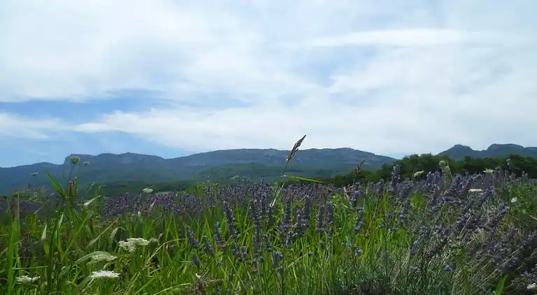 Gårdhus i Rochefort-en-Valdaine
