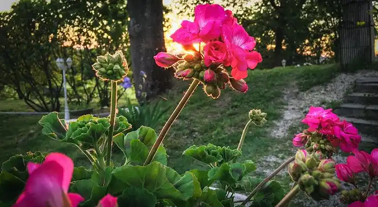 Gårdhus i Rochefort-en-Valdaine