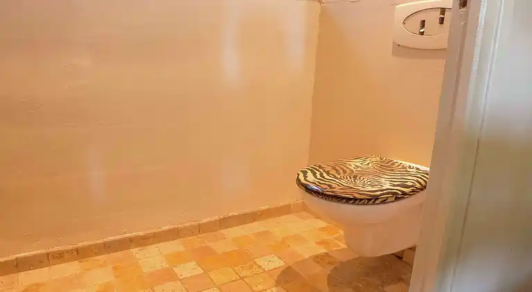 Sommerhus i Occitanie