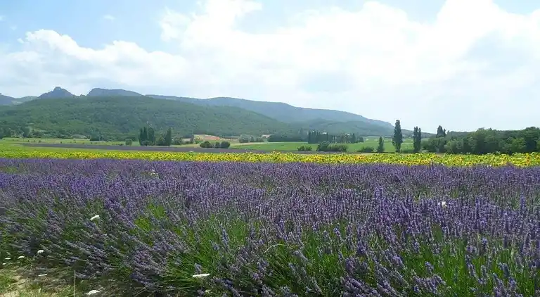 Gårdhus i Rochefort-en-Valdaine