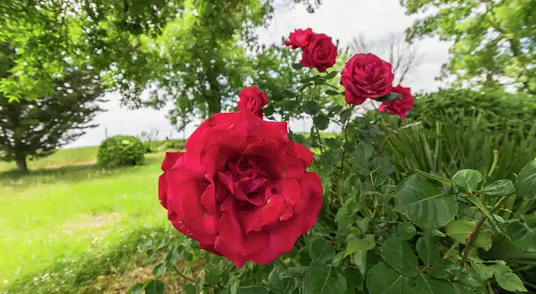 Holiday home in Homps