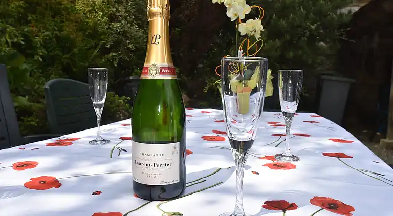 Holiday home in Vendeuvre-sur-Barse