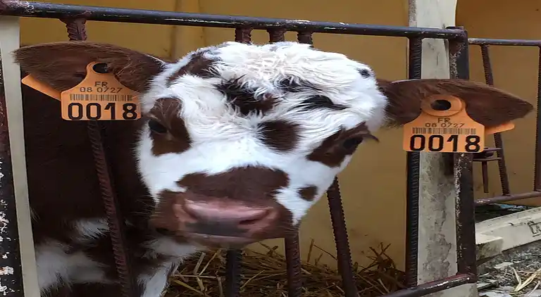 Holiday home in Barricourt