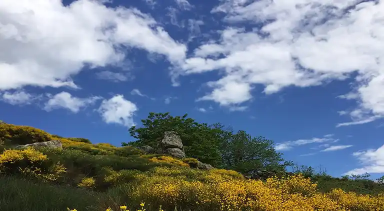 Casa de vacaciones en Burzet