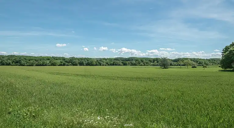 Sommerhus i Saint-Capraise-d'Eymet