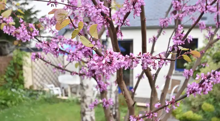 Holiday home in Saint-Aubin-des-Préaux