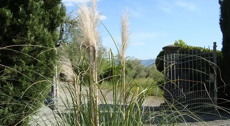 Holiday home in Pistoia