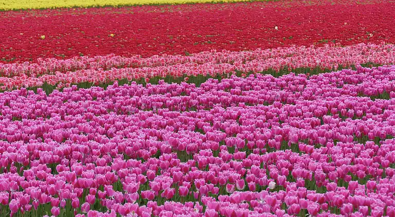 Holiday home in Schagen