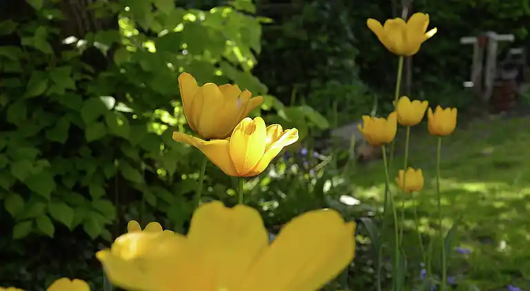 Holiday home in Schagen