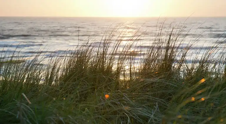 Holiday home in Schagen