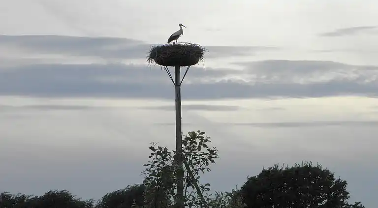 Farm house in Groesbeek