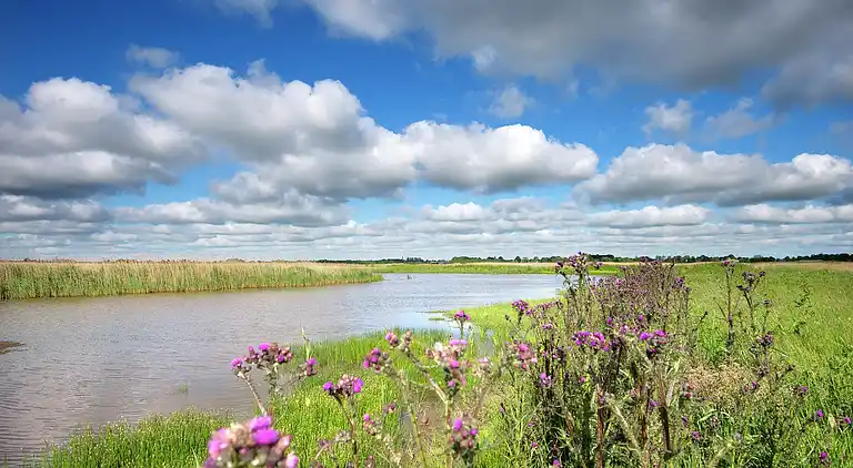 Holiday home in Kollum