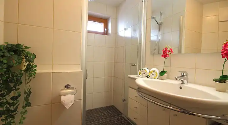 Apartment in Maria Luisenbad