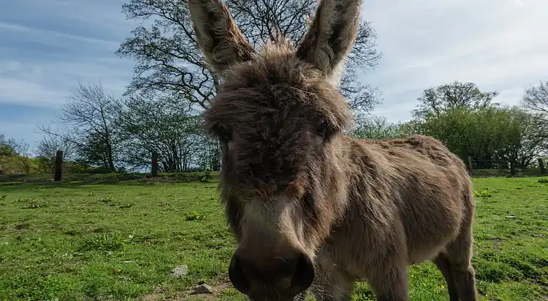 Holiday home in Jehonville