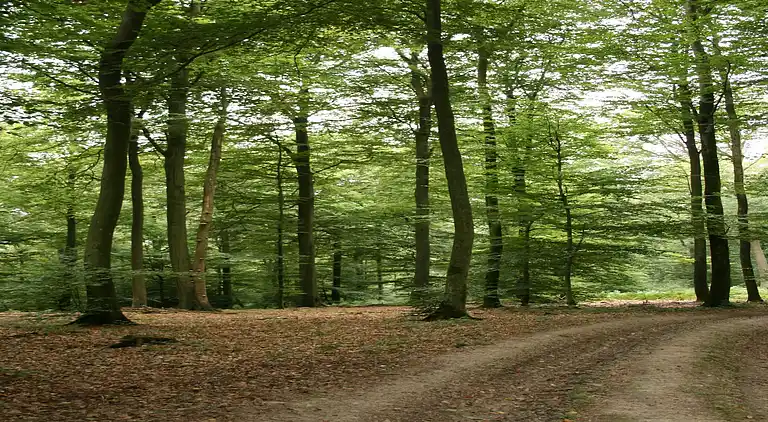 Apartment in Gros-Fays