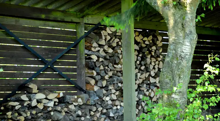 Apartment in Gros-Fays