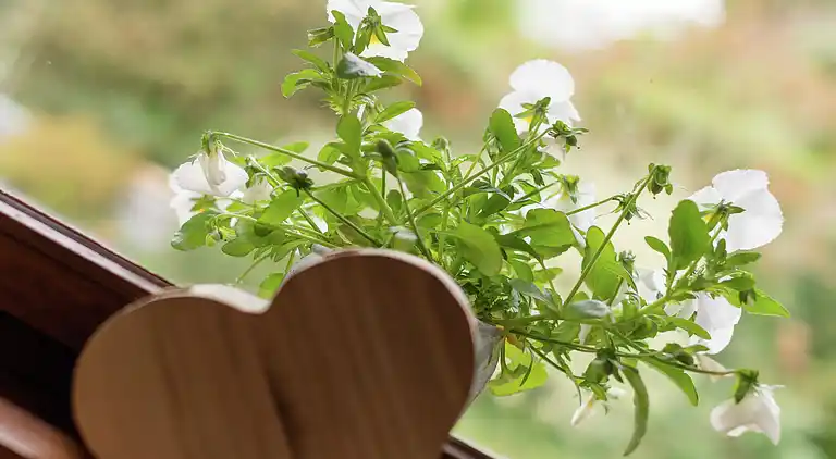 Sommerhus i Rochefort