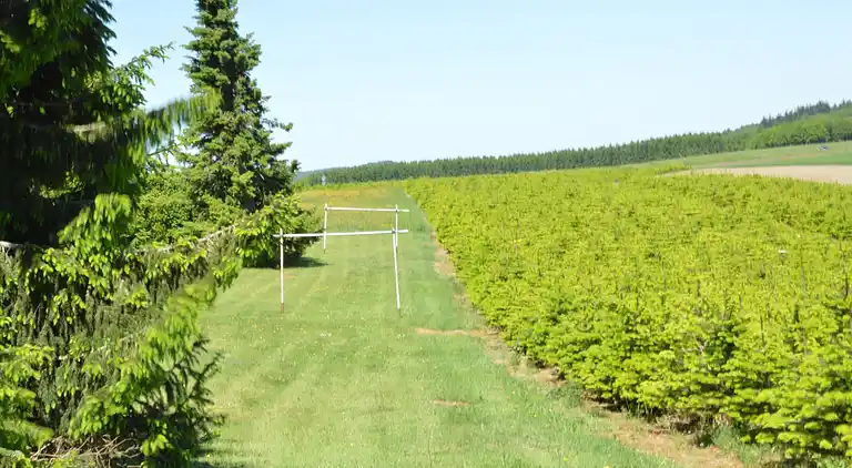 Apartment in Gros-Fays