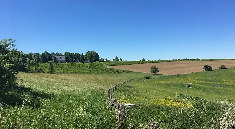 Apartment in Gros-Fays
