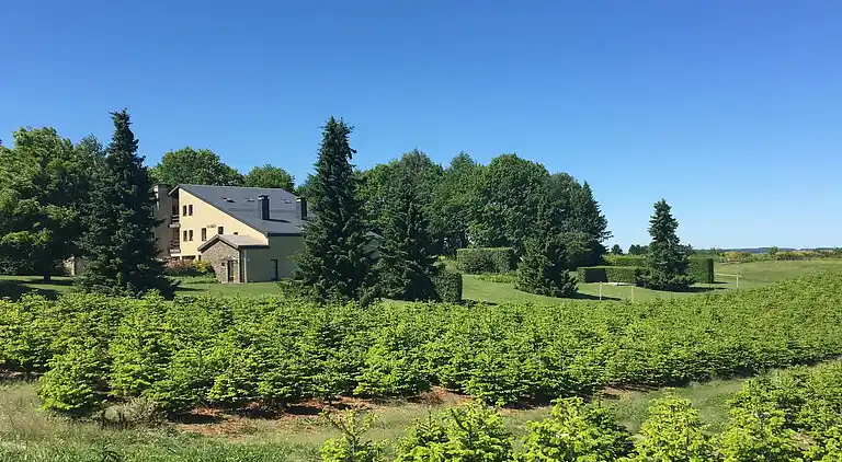 Apartment in Gros-Fays