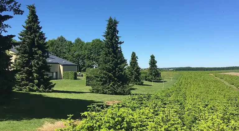 Apartment in Gros-Fays