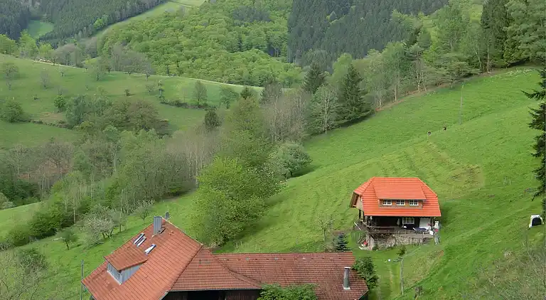 Sommerhus i Mühlenbach