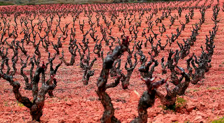 Herrenhaus in Labastida