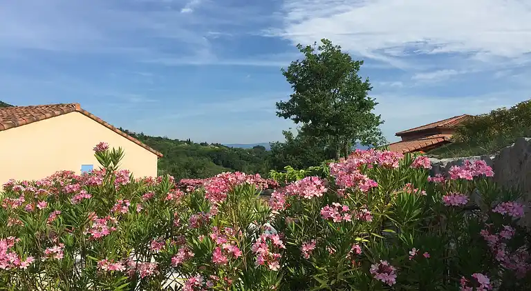 Sommerhus i Vallon-Pont-d'Arc