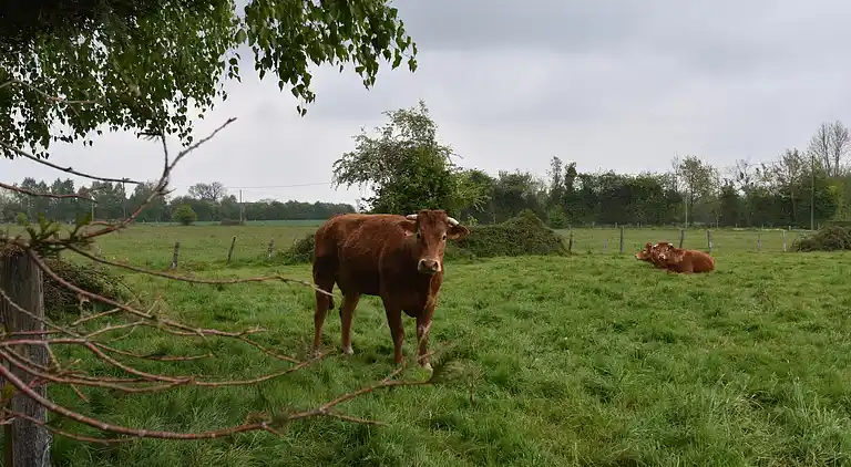 Casa vacanze in Fumichon