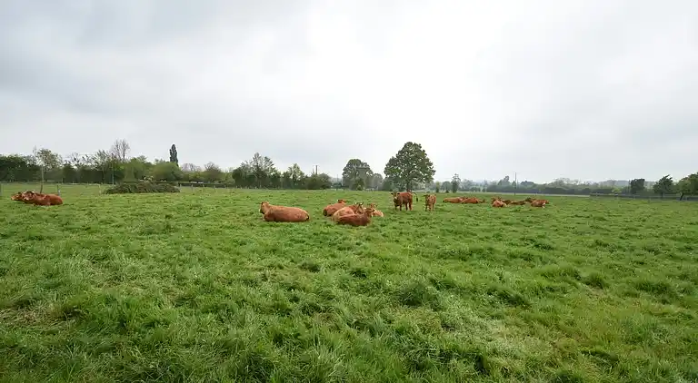 Casa vacanze in Fumichon