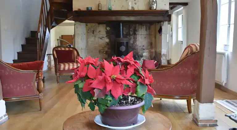 Casa vacanze in Fumichon