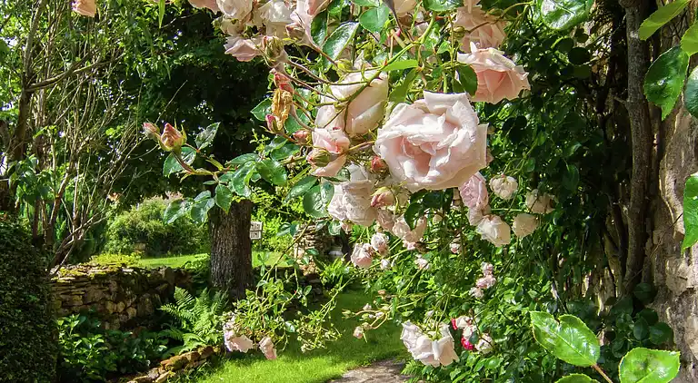 Vakantiehuis in Nabirat