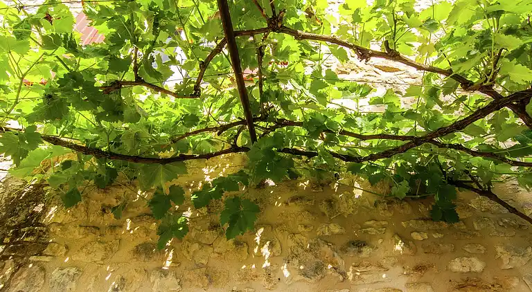 Vakantiehuis in Nabirat