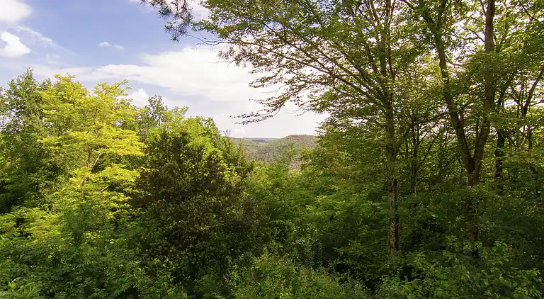 Vakantiehuis in Nabirat