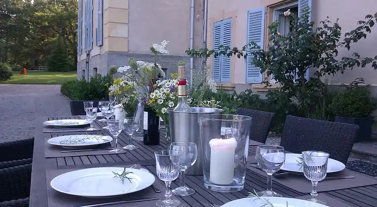 Castle in La Pacaudière