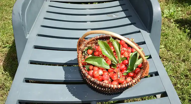 Sommerhus i Žbandaj