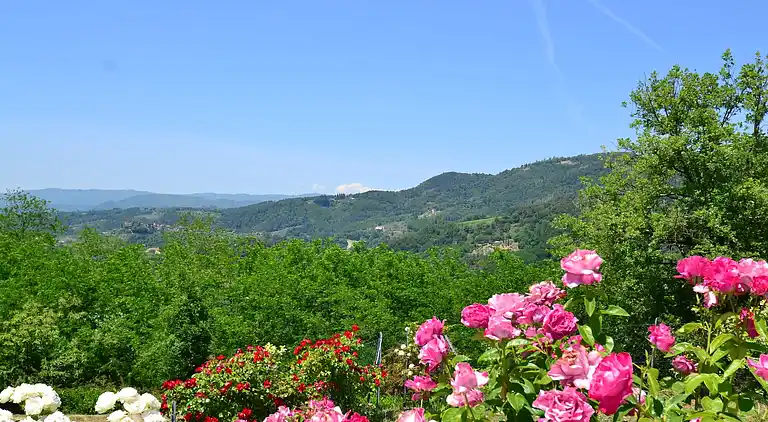 Hytte i Massa e Cozzile