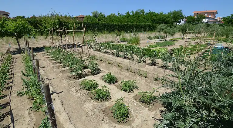 Ferielejlighed i Gatteo A Mare