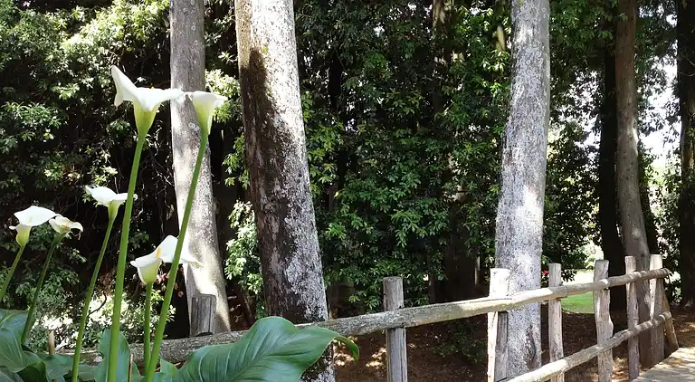 Farm house in Reggello