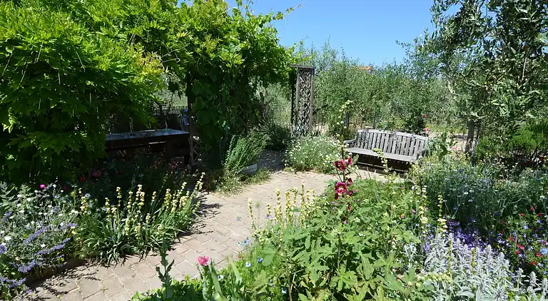 Apartment in Gatteo A Mare